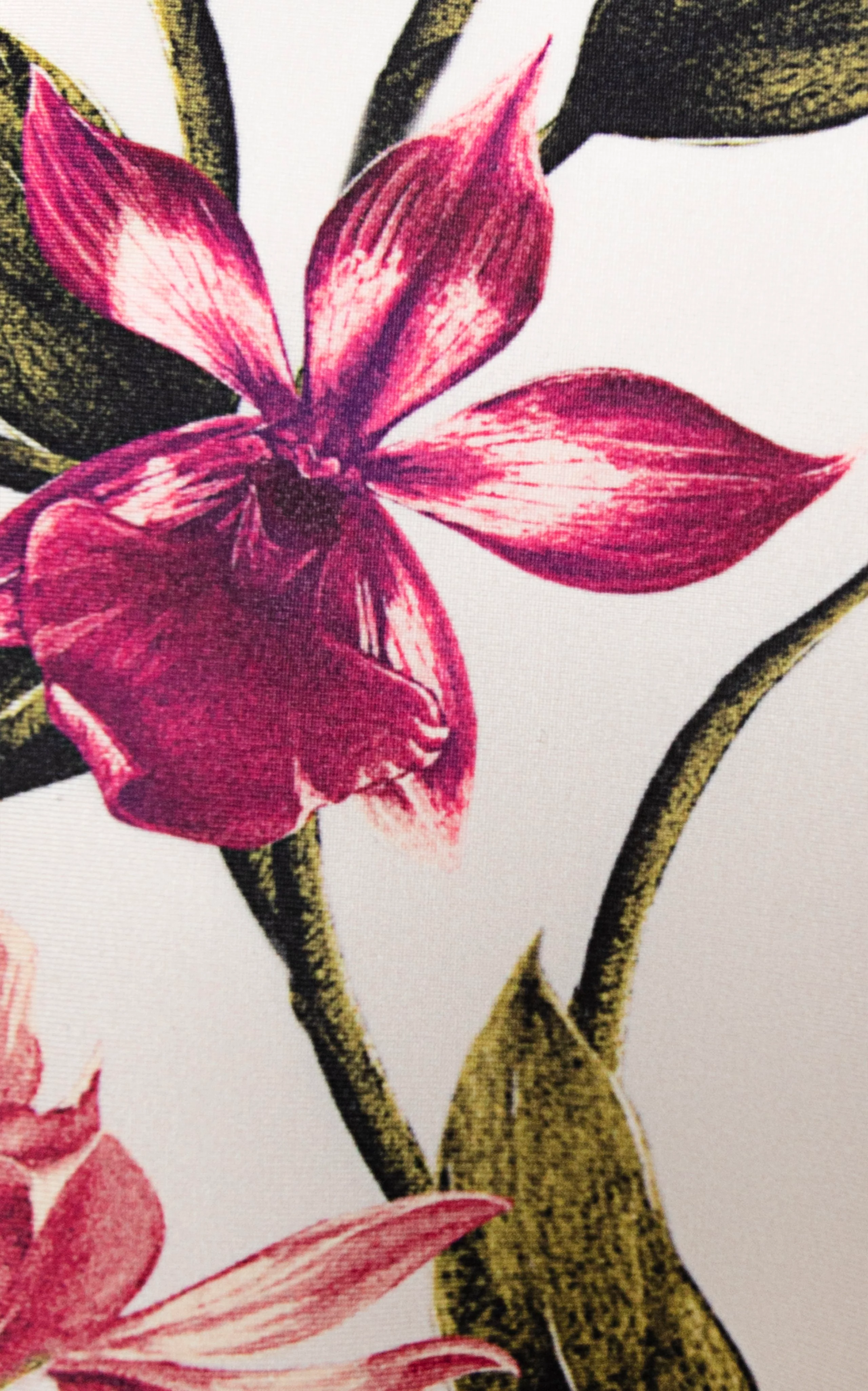 Berilo Pasado Bikini Bottom - Image 8